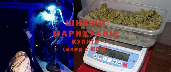 ECSTASY Белокуриха